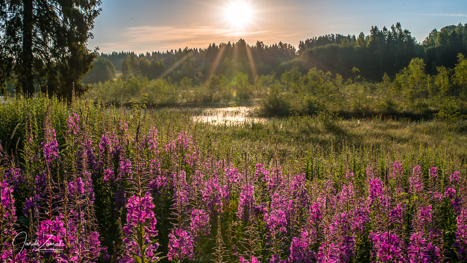 Sunrise nearby the highest Estonian mountain