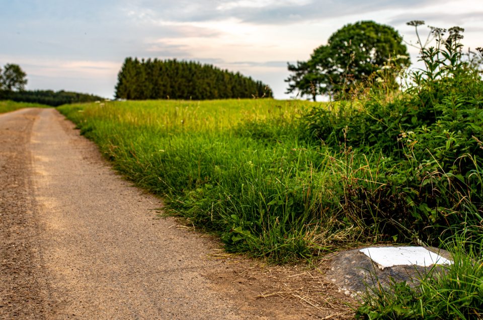 All you need to know about the highest point of Luxembourg - Kneiff