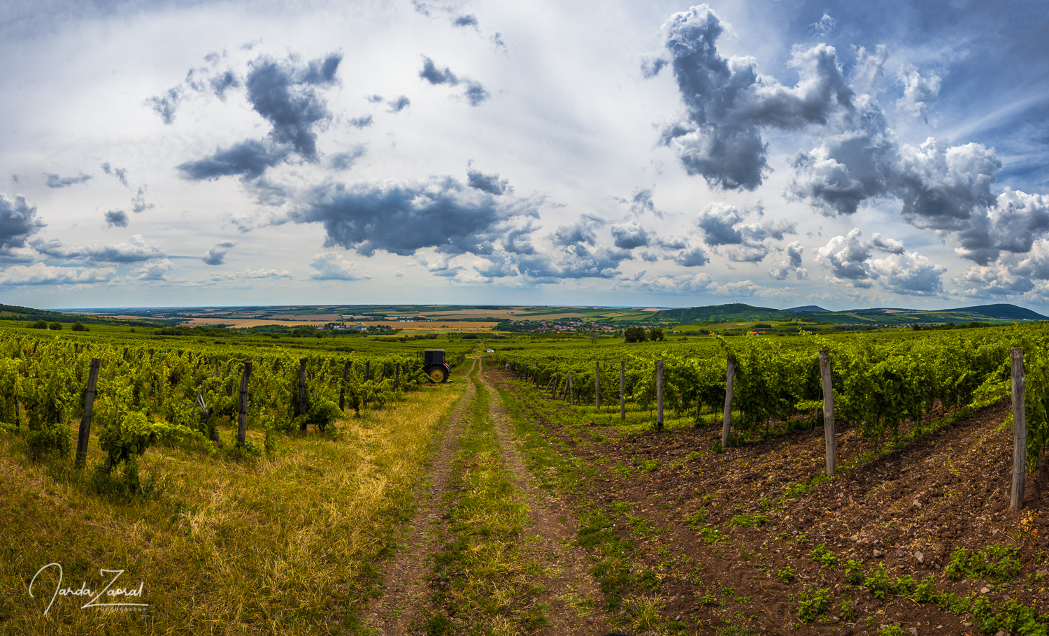 Wineries below the mountain Kékes