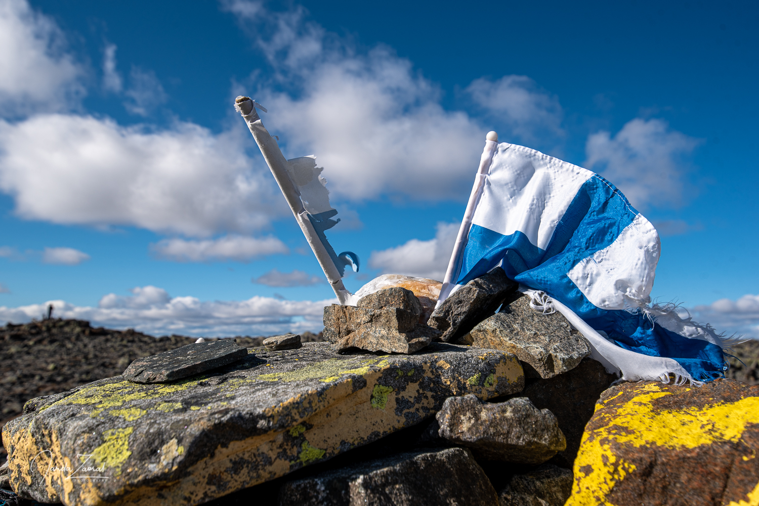 Detail of Finland's highest mountain Halti