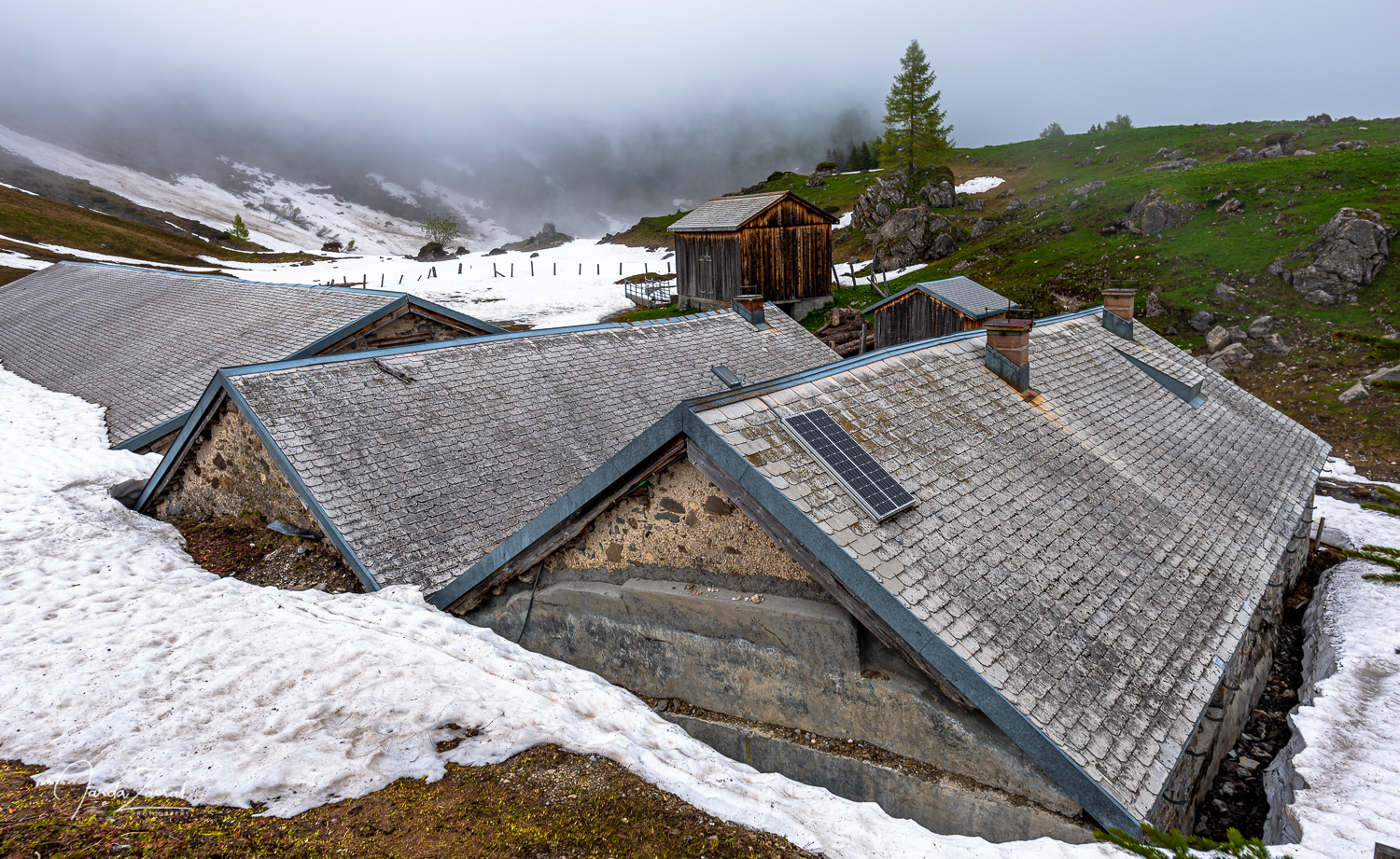 Fläscher Alp in spring