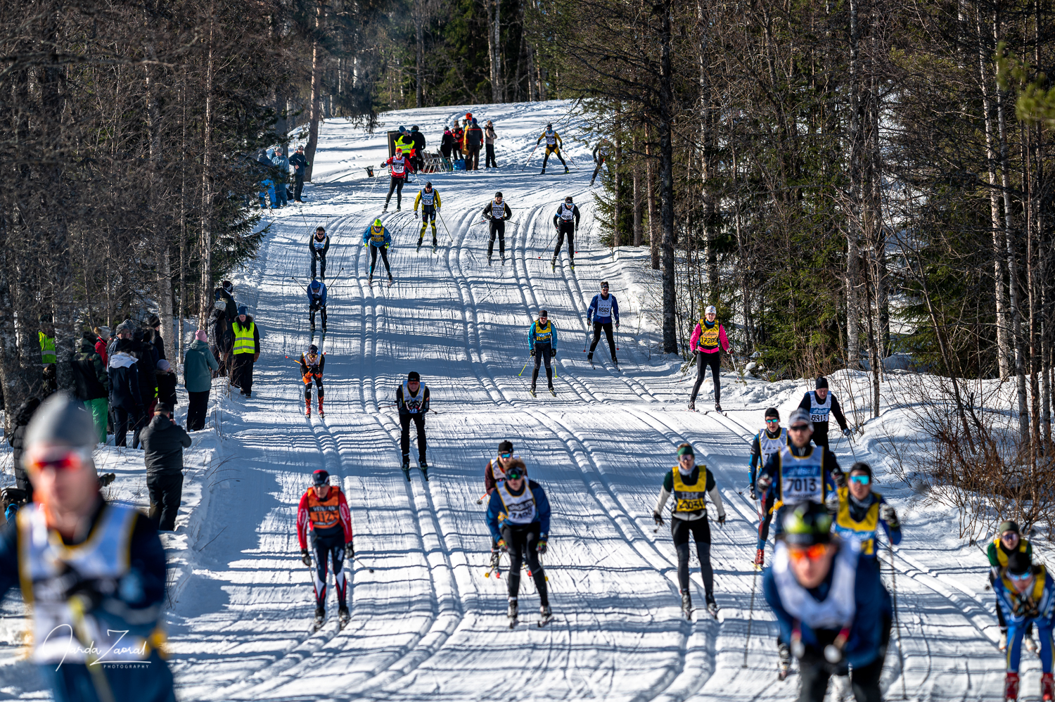 Vasaloppet Risberg downhill