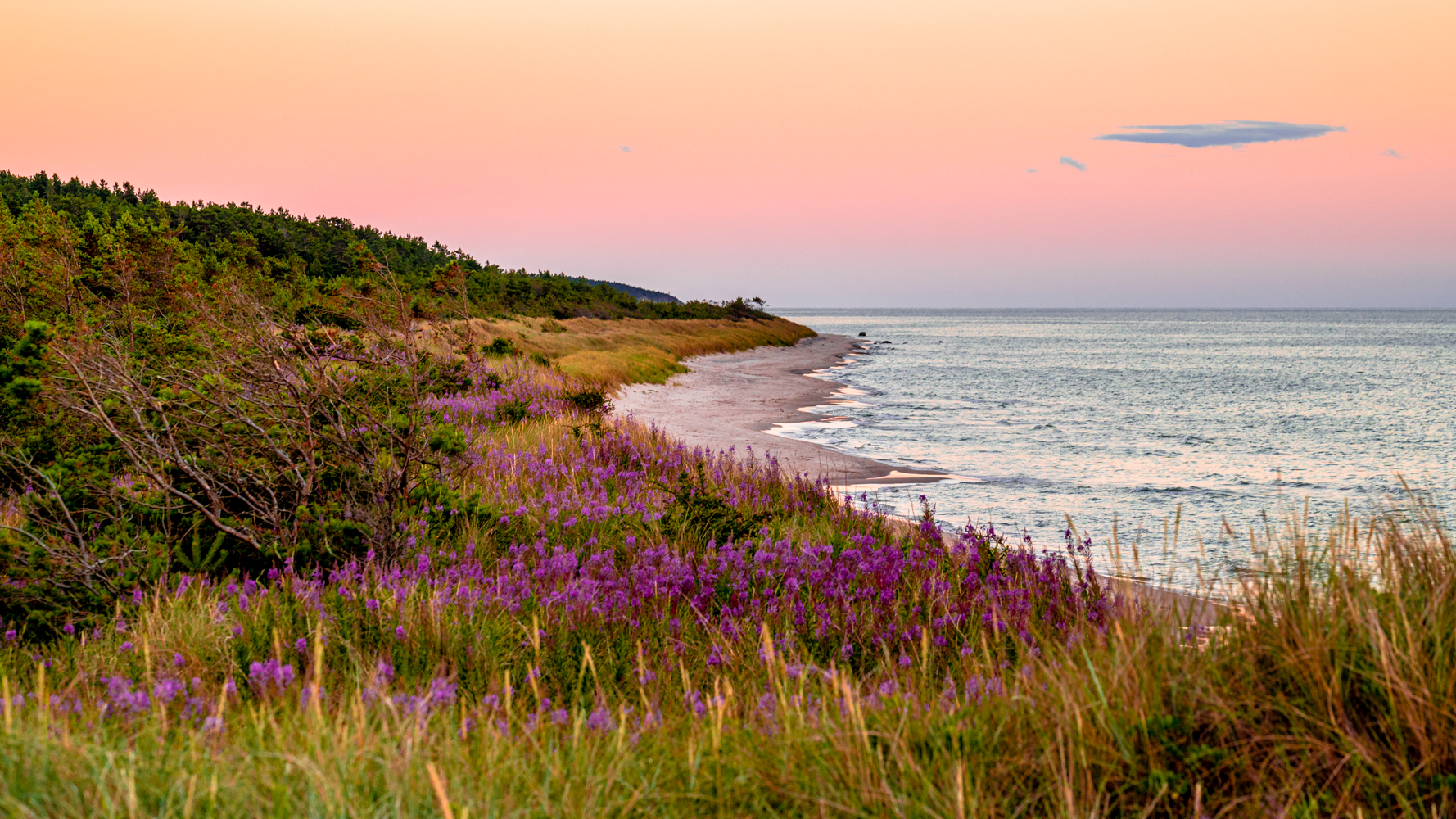 Gotska Sandön at sunset