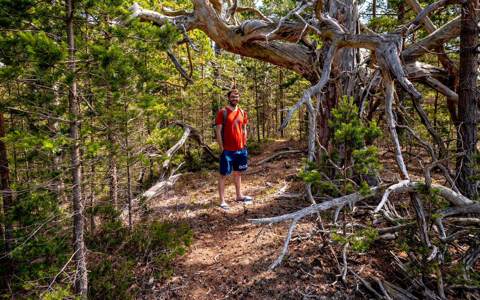 Hiking at Gotska Sandön