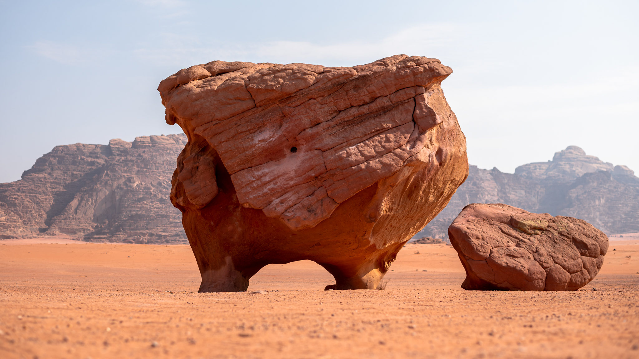 The chicken and egg in Jordan desert