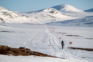 Snowshoe hiking in Jämtland mountains
