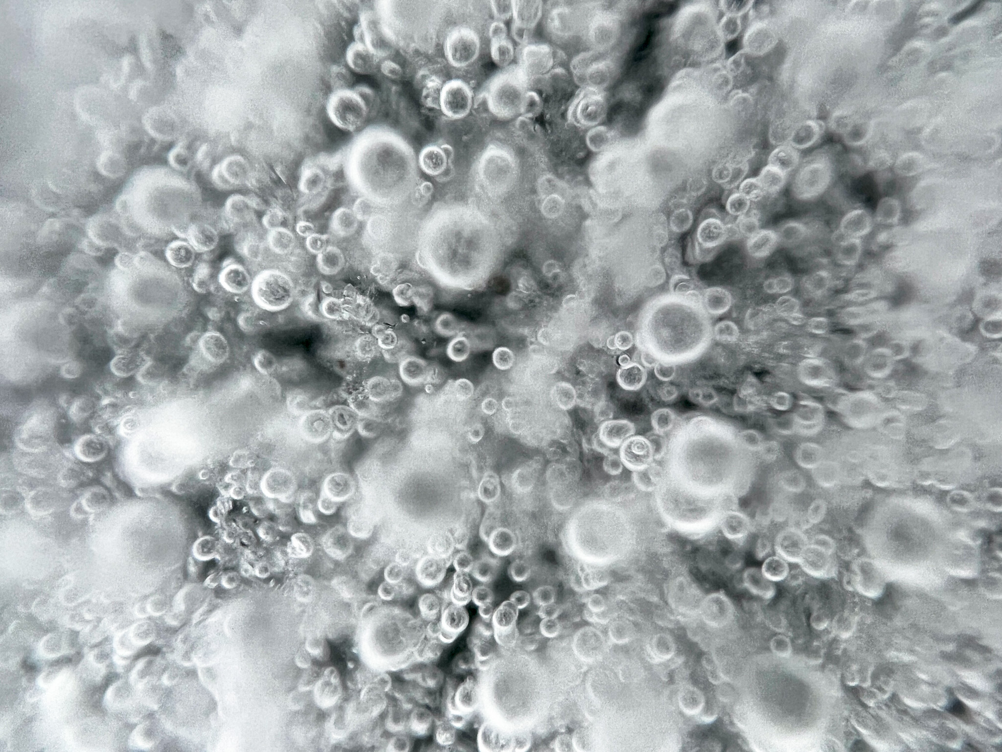 Macro photo of snow ice structure