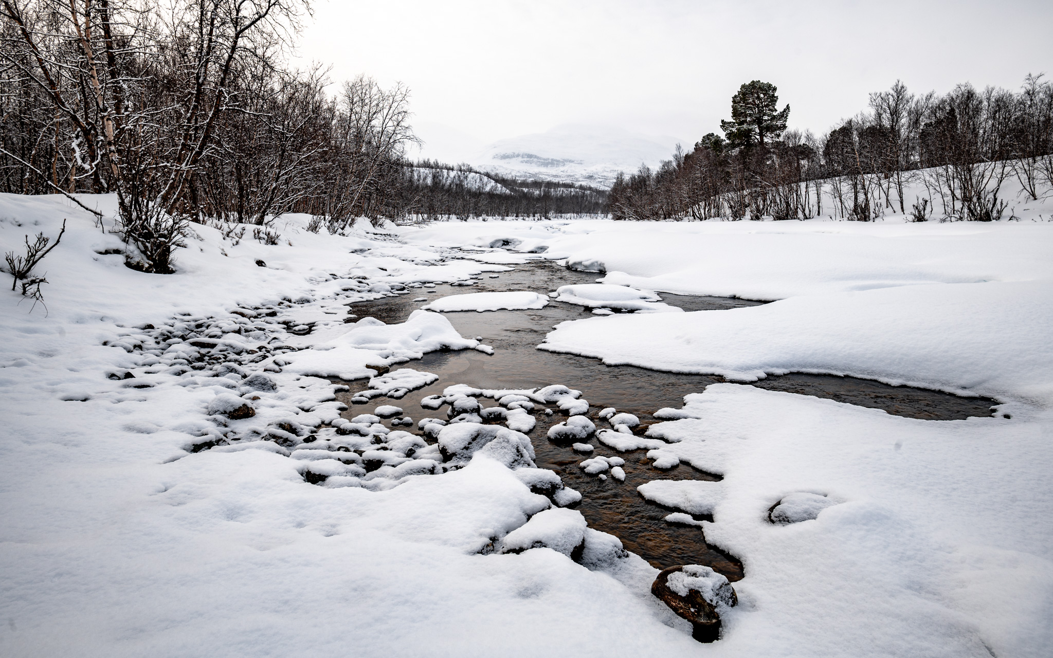 Abisko National Park and its frozen river covered by snow